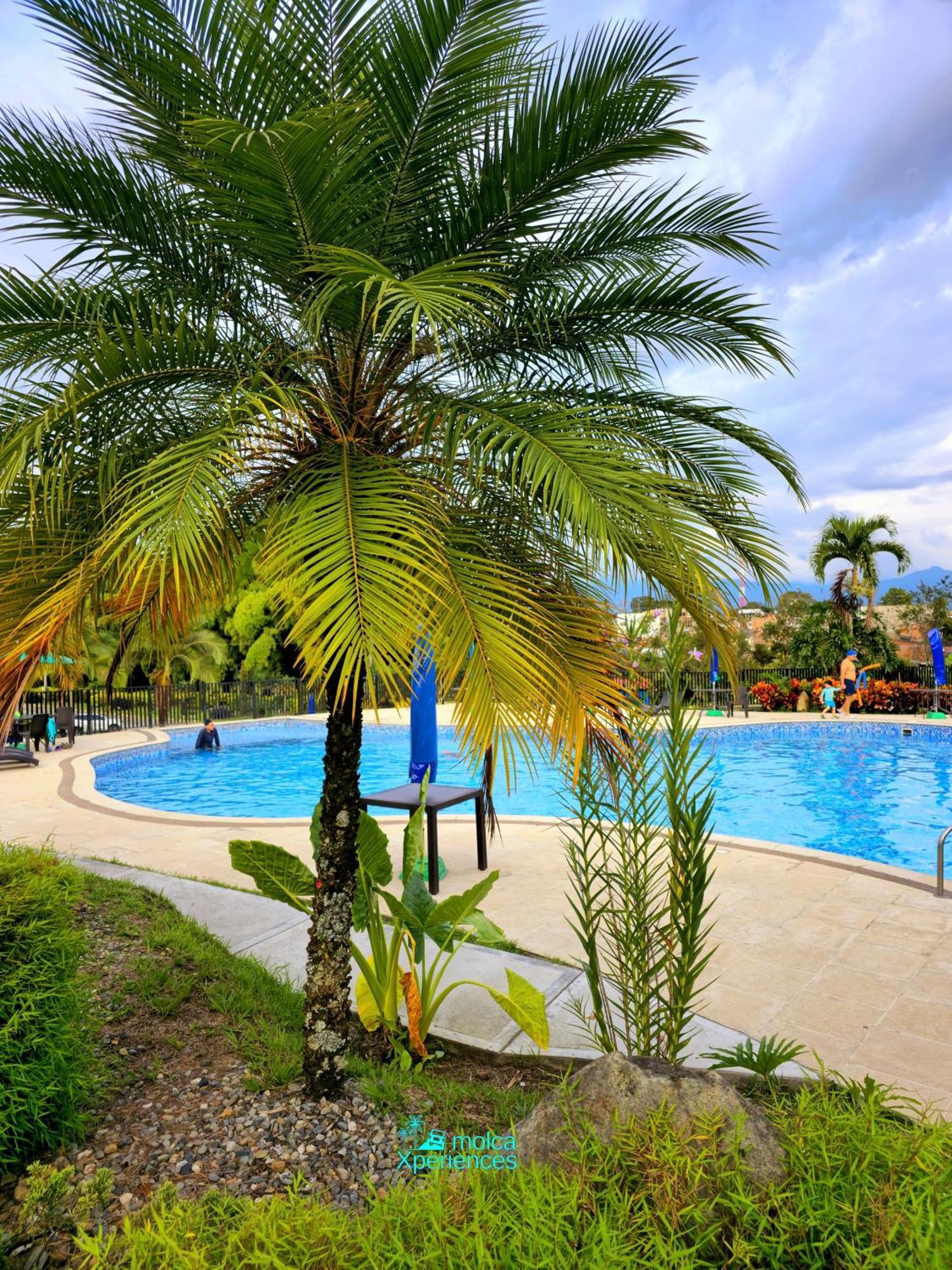 Apartamento Privado Vacacional A 5M Del Aeropuerto, 20 Minutos Del Parque Del Cafe Y Centro De Armenia Con 4 Piscinas, 3 Jacuzzi, Sauna By Molca Xperiences 3H Zewnętrze zdjęcie